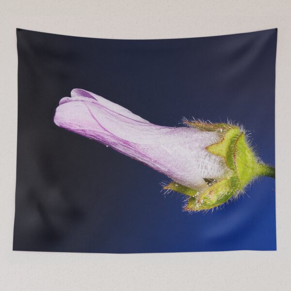Item preview, A flower of malva sylvestris designed and sold by Giuseppe Cammino.