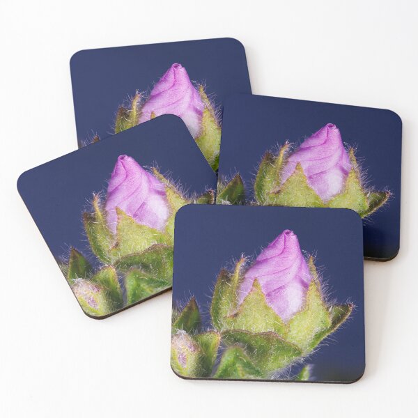 Item preview, A flower of malva sylvestris designed and sold by Giuseppe Cammino.