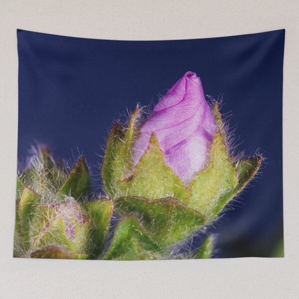 Item preview, A flower of malva sylvestris designed and sold by Giuseppe Cammino.