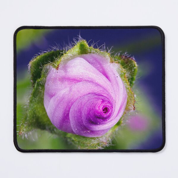 Item preview, A flower of malva sylvestris designed and sold by Giuseppe Cammino.