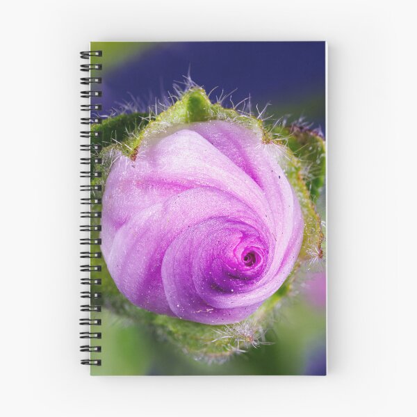 Item preview, A flower of malva sylvestris designed and sold by Giuseppe Cammino.