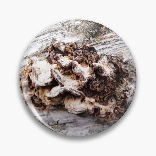 Item preview, Bark Fungus designed and sold by images4design.