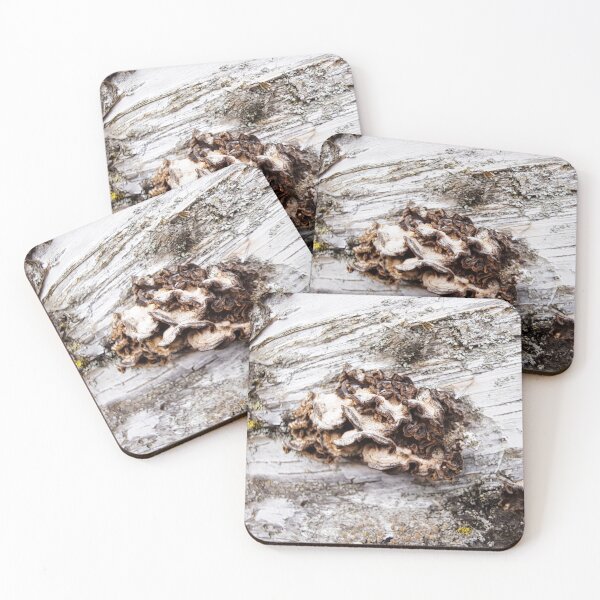 Item preview, Bark Fungus designed and sold by images4design.