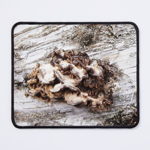 Item preview, Bark Fungus designed and sold by images4design.