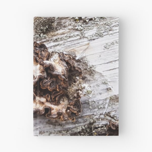 Item preview, Bark Fungus designed and sold by images4design.
