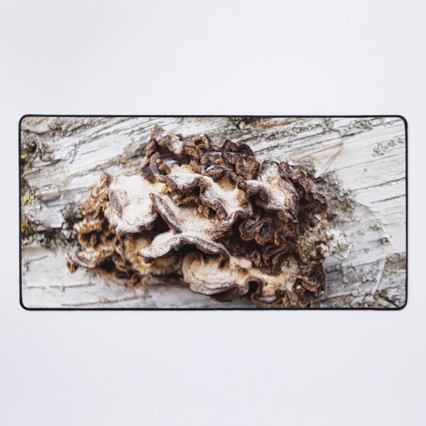 Item preview, Bark Fungus designed and sold by images4design.