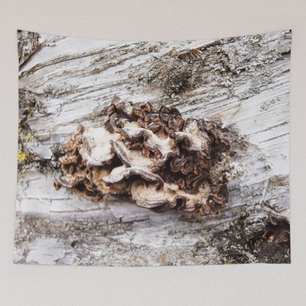 Item preview, Bark Fungus designed and sold by images4design.
