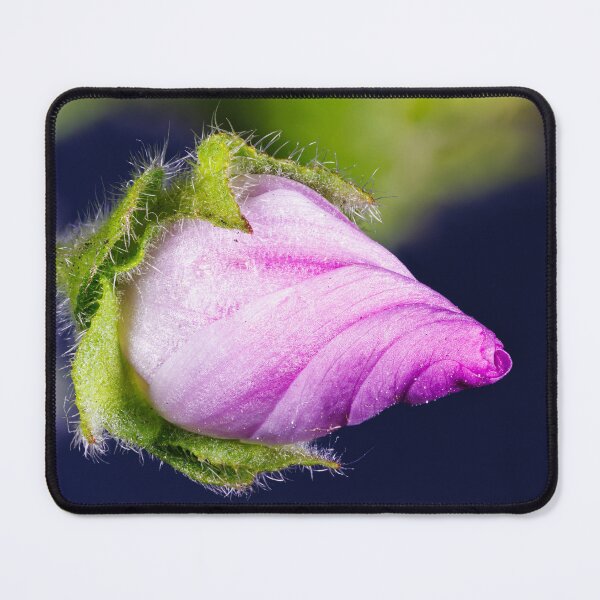 Item preview, A flower of malva sylvestris designed and sold by Giuseppe Cammino.