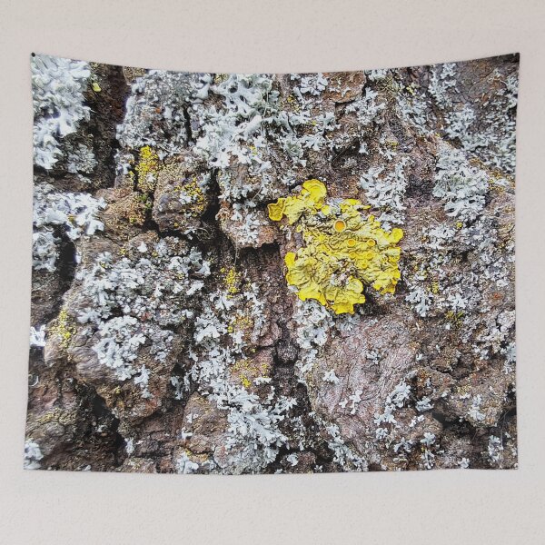 Item preview, Tree Lichen designed and sold by images4design.