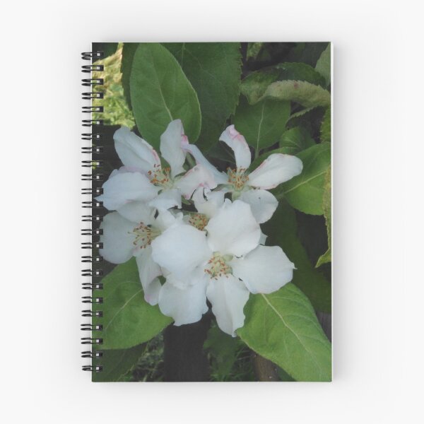 Item preview, beautiful Flowers  designed and sold by LilianQaaa.