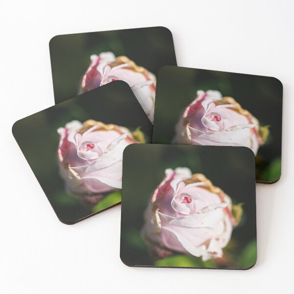 Item preview, Macro photography of a pink rose designed and sold by Giuseppe Cammino.