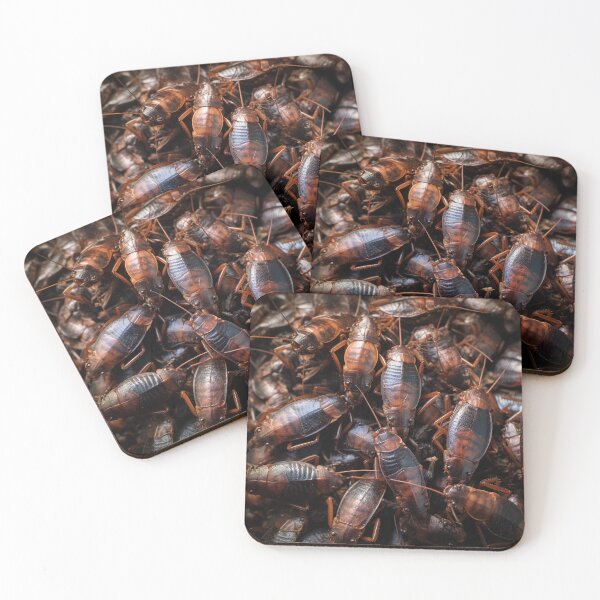 Item preview, Cockroach party designed and sold by Istarfal.