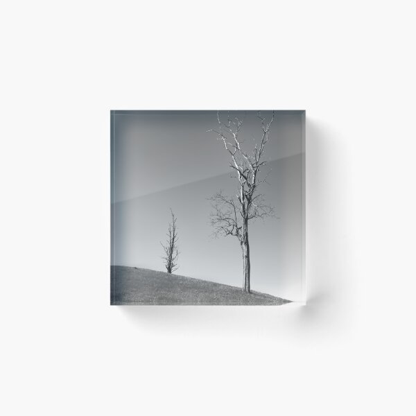 Artikelvorschau, Aufrecht stehen entworfen und verkauft von Jason Tompkins.