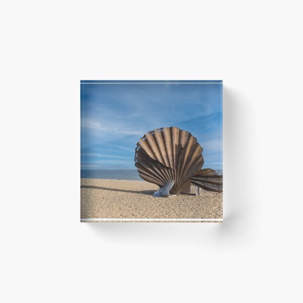 Item preview, Scallop Splendour (Colour) designed and sold by tjnewman.