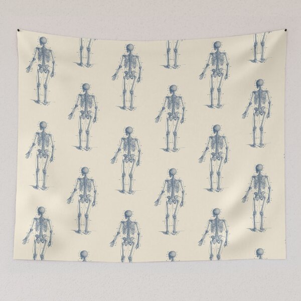 Item preview, Backward Facing Skeletal Diagram designed and sold by VAposters.