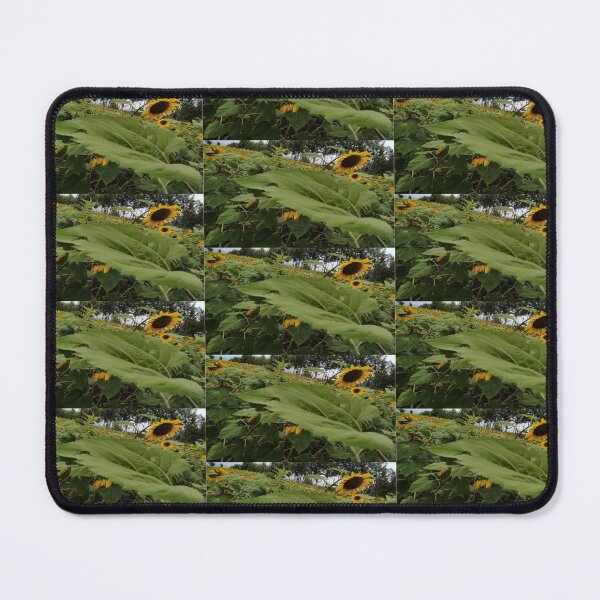Item preview, Blossoming Sunflower, Kenya designed and sold by annenambiro.
