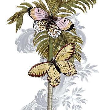 Butterflies and Palm Tree Poster for Sale by Asia Wetherell
