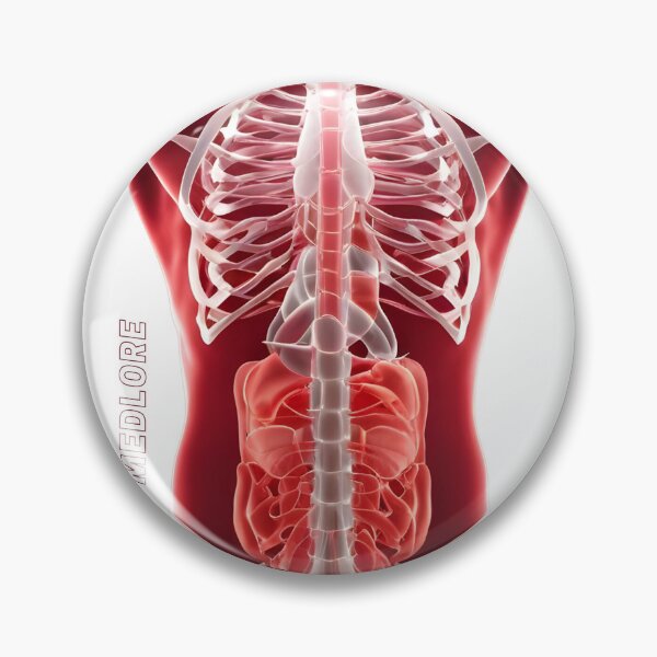 Item preview, Red Body designed and sold by MedLore.