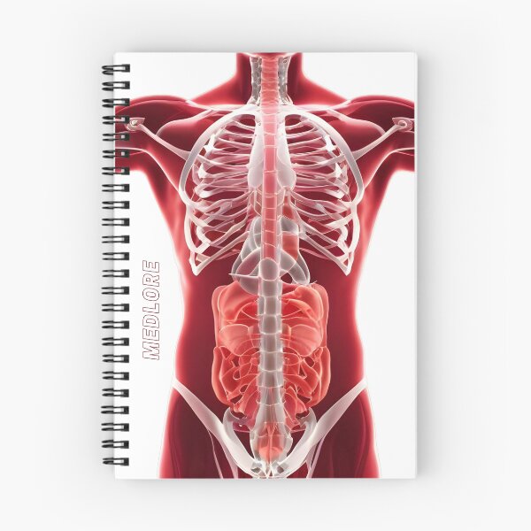 Item preview, Red Body designed and sold by MedLore.