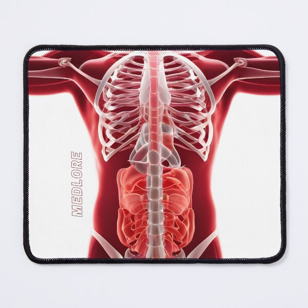 Item preview, Red Body designed and sold by MedLore.