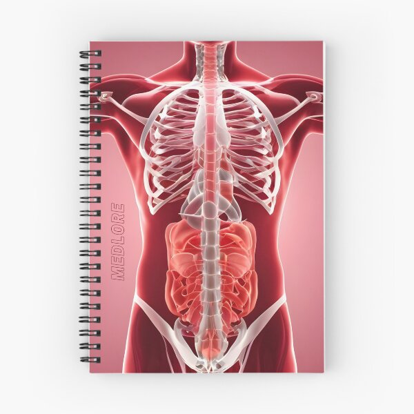 Item preview, Red (with background) designed and sold by MedLore.
