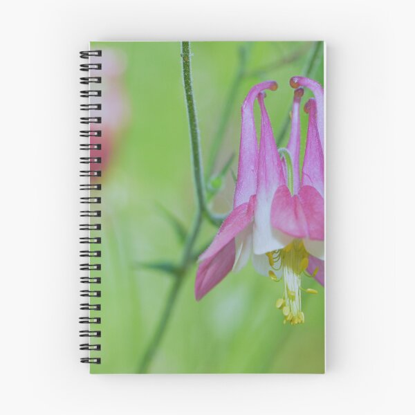 Item preview, Pretty Pink Columbine Flower designed and sold by Paula Betz.