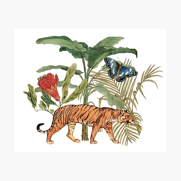 Item preview, Tiger in the Jungle designed and sold by Asia Wetherell.