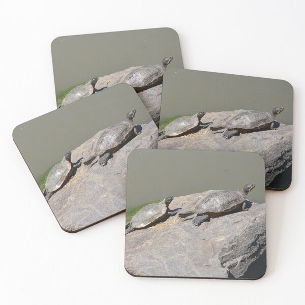 Item preview, Two turtles enjoying the sunshine on a rock designed and sold by Paula Betz.