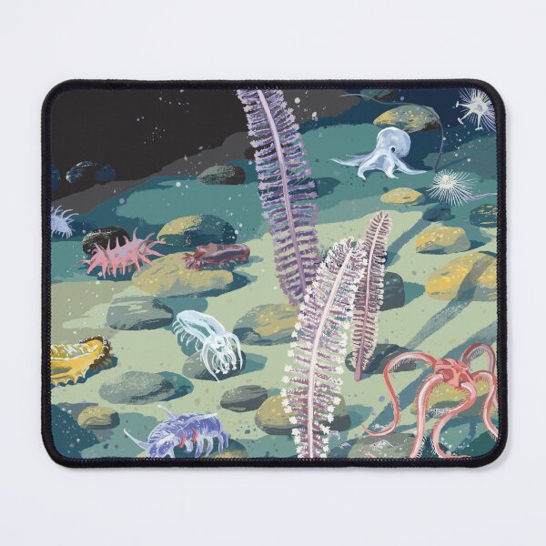 Item preview, sea cucumbers designed and sold by qu-lan.