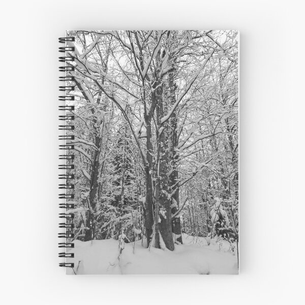 Item preview, Barren Trees Snowscape in black and white designed and sold by Jouko Lehto Photography.