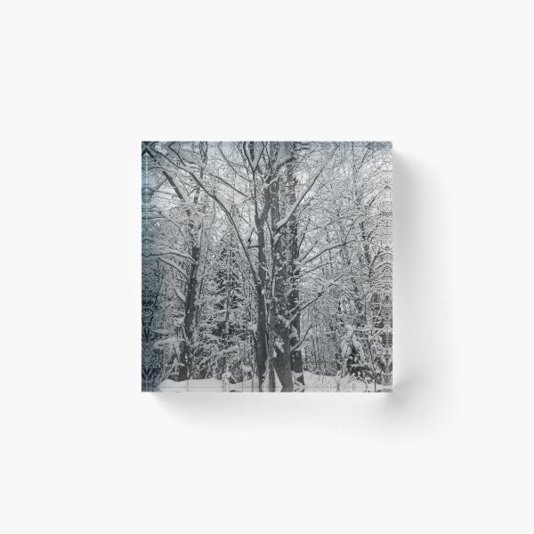 Item preview, Barren Trees Snowscape in black and white designed and sold by Jouko Lehto Photography.