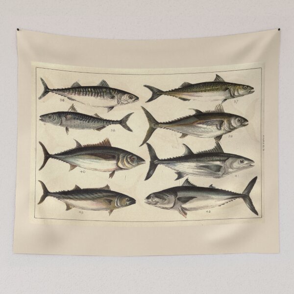Item preview, Vintage Illustration of Tunas, Mackerels & Bonitas designed and sold by BravuraMedia.