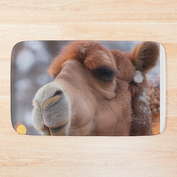 Item preview, Smiling Camel Seeks Portrait designed and sold by Paw's Arts.