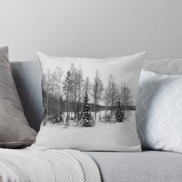 Item preview, Paths on the lake bw designed and sold by Jouko Lehto Photography.