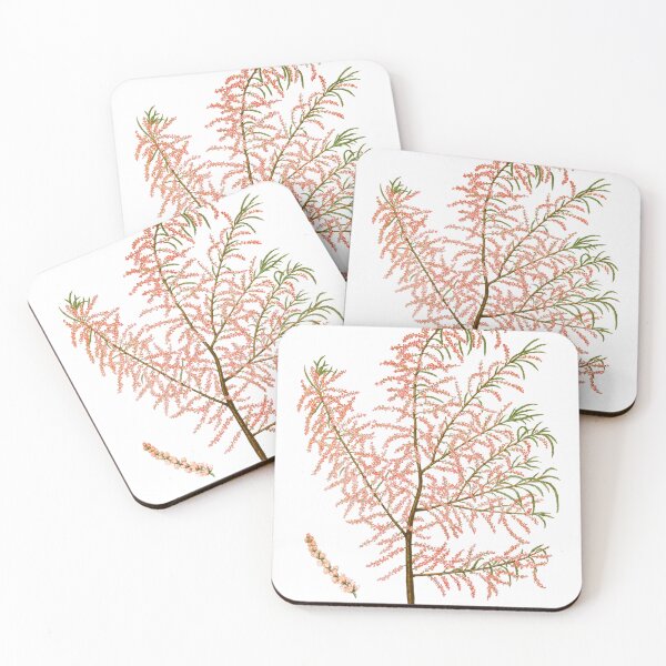 Item preview, Salt Cedar Tree from Japan designed and sold by PureTea-07.