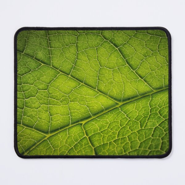 Item preview, Macro Green leaf designed and sold by bonidog.