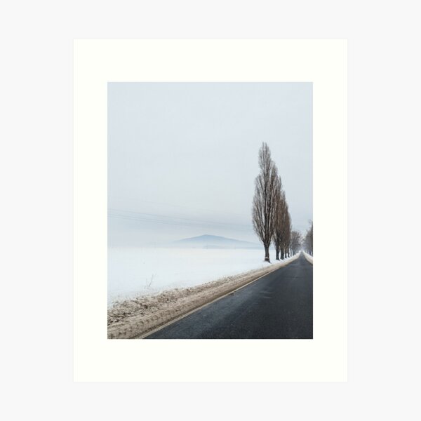 Winter alone mountain trees road fog Art Print