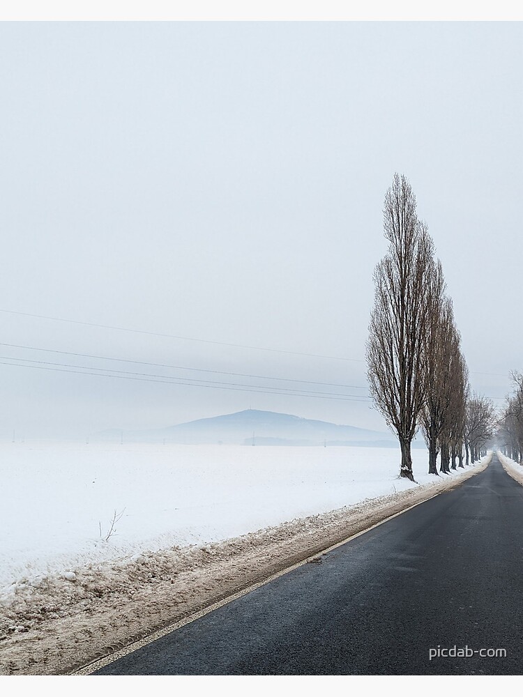Thumbnail 3 of 3, Photographic Print, Winter alone mountain trees road fog designed and sold by picdab-com.