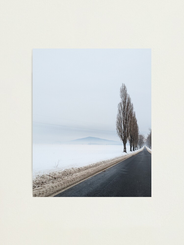 Thumbnail 1 of 3, Photographic Print, Winter alone mountain trees road fog designed and sold by picdab-com.