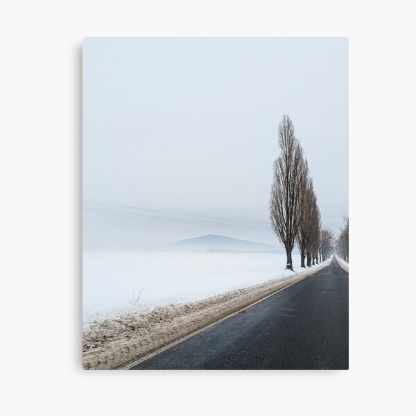 Winter alone mountain trees road fog Canvas Print