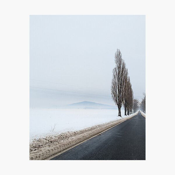 Winter alone mountain trees road fog Photographic Print