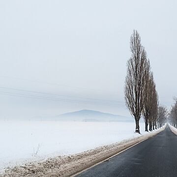 Artwork thumbnail, Winter alone mountain trees road fog by picdab-com