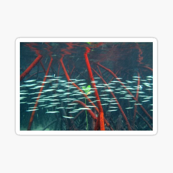 The Refuge Sticker