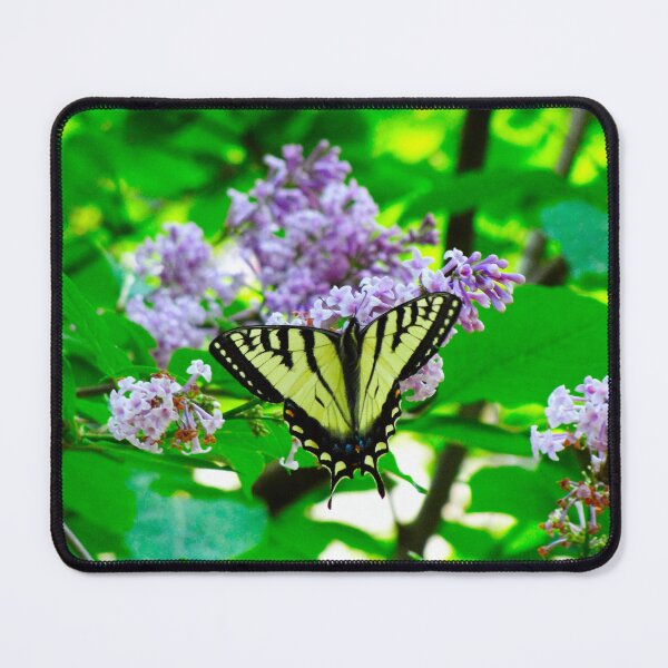 Item preview, Canadian Tiger Swallowtail Butterfly on Lilac Bush designed and sold by BuddingTree.