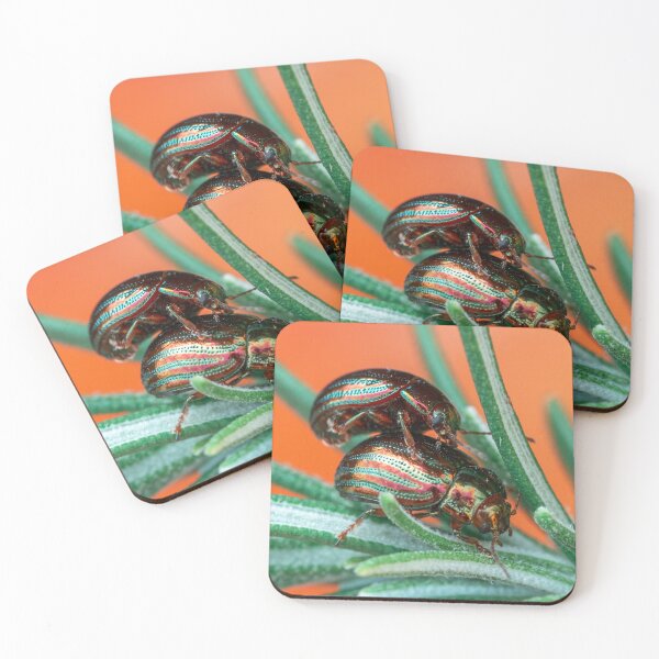 Item preview, Rosemary beetles on rosemary designed and sold by Kittykatnicole.