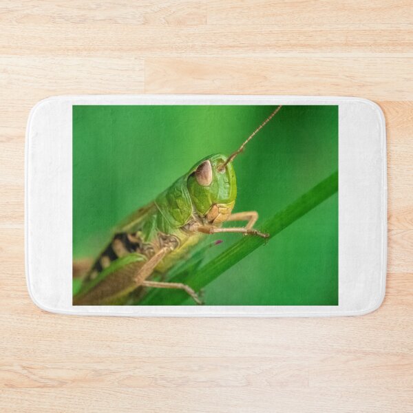 Item preview, Grasshopper on blade of grass designed and sold by Kittykatnicole.