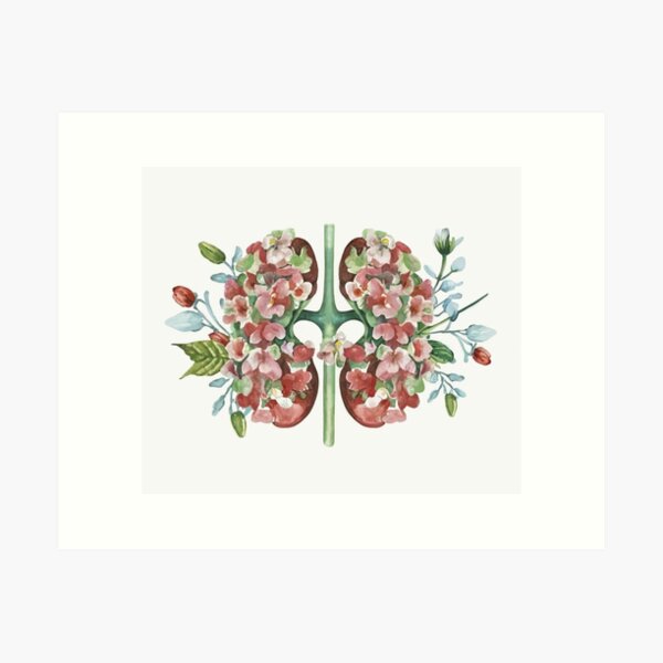 Vista previa del artículo con la obra «Ilustración floral de anatomía del riñón», diseñado y vendido por EmeraldeaArt.