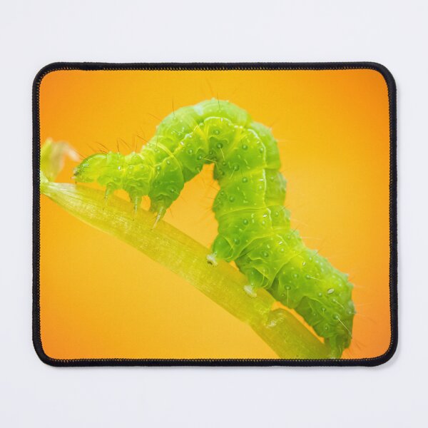 Item preview, caterpillar with arched back designed and sold by Kittykatnicole.