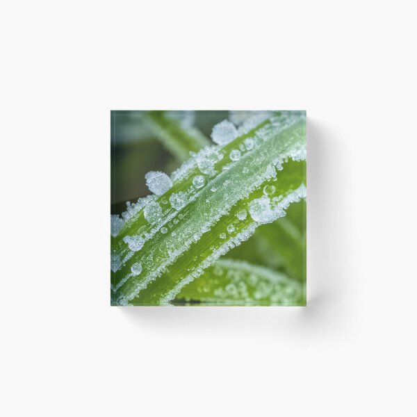 Item preview, frozen morning dew on blades of grass designed and sold by Kittykatnicole.