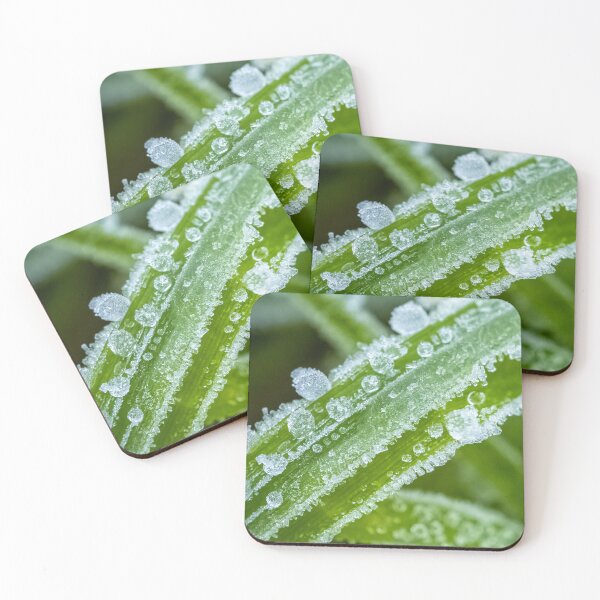 Item preview, frozen morning dew on blades of grass designed and sold by Kittykatnicole.